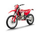 GasGas EC 250